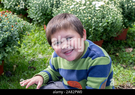 Niedlicher kleiner Junge auf einem Feld von Herbstchrysanthemen Stockfoto