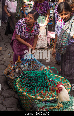 Ein Maya Frau in typischen Kleid hat Körbe mit lebenden Hühnern und Puten zum Verkauf auf dem Wochenmarkt in Santiago Atitlan, Guatemala. Stockfoto