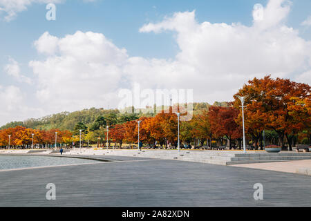 Wm Park, Pyeonghwa Park im Herbst in Seoul, Korea Stockfoto