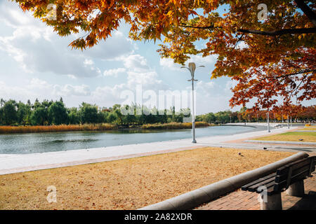 Wm Park, Pyeonghwa Park im Herbst in Seoul, Korea Stockfoto
