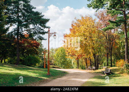Wm Park, Pyeonghwa Park im Herbst in Seoul, Korea Stockfoto