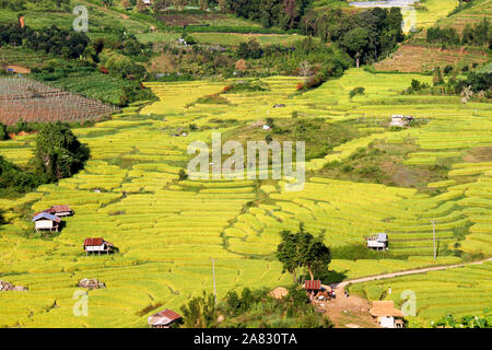 Reisterrassen Feld im Tal der Landschaft. Stockfoto