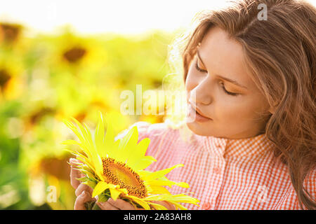 Schöne junge Frau im Sonnenblumenfeld auf Sommer Tag Stockfoto