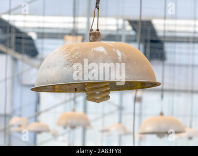 Viele Lampen hängen an der Decke der Halle. Eine Reihen von Leuchten mit Energiesparlampen in einem Gewächshaus. Stockfoto