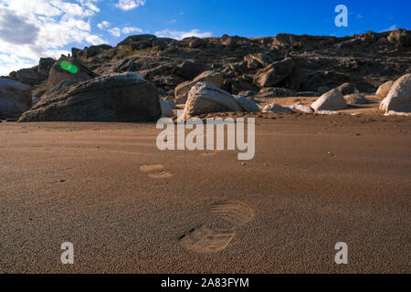 Menschliche Spuren im nassen Sand. Stockfoto