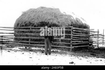 Mann mit großen Heuballen 1934-1946 Stockfoto