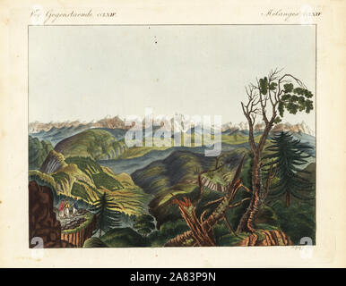 Blick auf die Berge des Himalaya. Handkoloriert Kupferstich von Theodore Goetz von Friedrich Johann Bertuch Bilderbuch Fur Kinder (Bilderbuch für Kinder), Weimar, 1823. Stockfoto