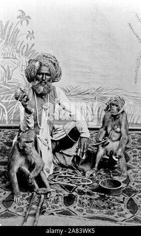 Indischer Fakir, full-length Portrait, auf Tuch mit zwei Affen sitzen. 1890-1920 Stockfoto