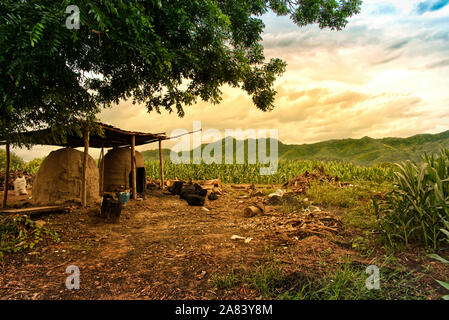 Holzkohle Ofen und Hölzer in einer Farm, Maisfeld im Hintergrund, bewölkt Abend Sonnenlicht Stockfoto