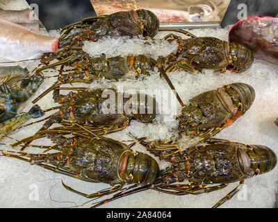 Frischen Hummer auf Eis im Seafood Markt eingefroren Stockfoto