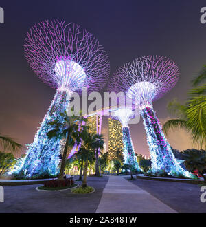 Singapur - Supertree Garten bei Nacht, Garten durch die Bucht Stockfoto