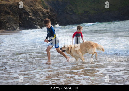 Zwei Jungen spielen in der Brandung mit ihren Golden Retriever Hund, Cornwall, England. Stockfoto