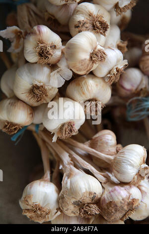 Frische Knoblauchbüschen Stockfoto