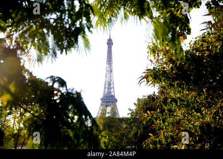 Eiffelturm zwischen Sommer Vegetation, Paris Stockfoto