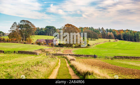 Der Weg zum Farmhouse auf dem Bredon Hügel in den Cotswolds, England Stockfoto