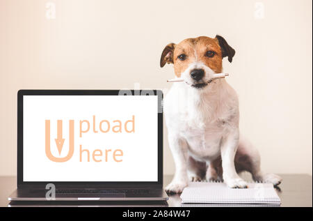 User Generated Content (UGC) Konzept mit Hund tun kreative Arbeit auf Notebook Stockfoto