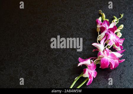 Wilde rosa Orchidee auf Schwarz-strukturiert Tabelle kopieren und Platz für Ihr Design Stockfoto