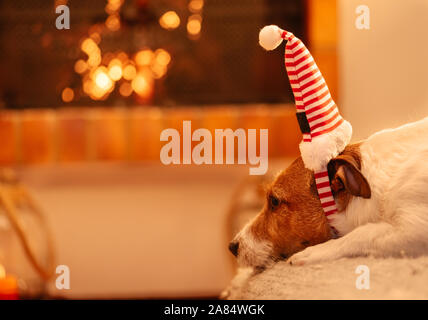 Hund im festlichen elf Hut warten auf Heiligabend Feier starten in der Nähe von Kamin mit lodernden Feuers Stockfoto
