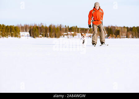 Mensch und Hund Skijöring auf dem Eis des Sees in Finnland Stockfoto