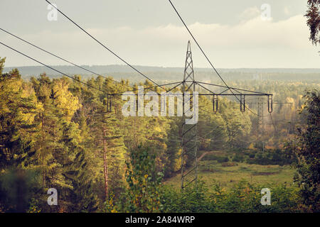 Hochspannungs-Stromleitungen und Hochspannungsmasten Transport elektrischer Energie in einer Gasse durch einen wunderschönen herbstlichen Wald im Abendlicht. Gesehen Stockfoto