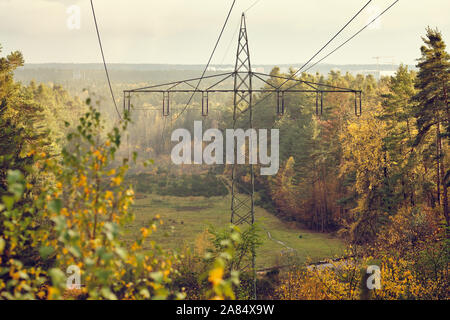 Hochspannungs-Stromleitungen und Hochspannungsmasten Transport elektrischer Energie in einer Gasse durch einen wunderschönen herbstlichen Wald im Abendlicht. Gesehen Stockfoto