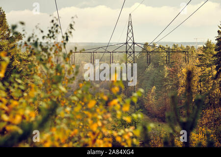 Hochspannungs-Stromleitungen und Hochspannungsmasten Transport elektrischer Energie in einer Gasse durch einen wunderschönen herbstlichen Wald im Abendlicht. Gesehen Stockfoto