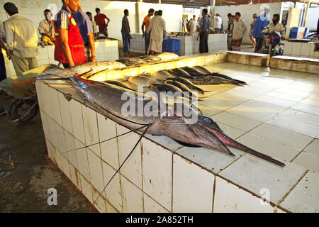 Hodeida/Jemen - 04 Jan 2013: Der Fischmarkt in Hodeida, Rotes Meer, Bab El Mande, Jemen Stockfoto