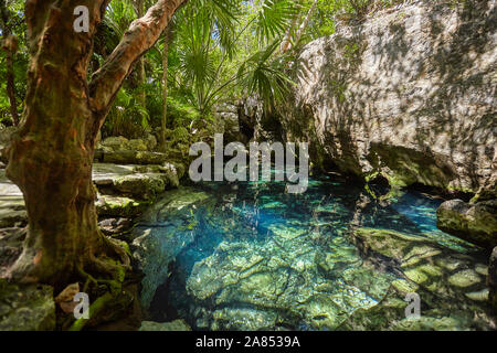 Cenote Azul in Mexiko Stockfoto