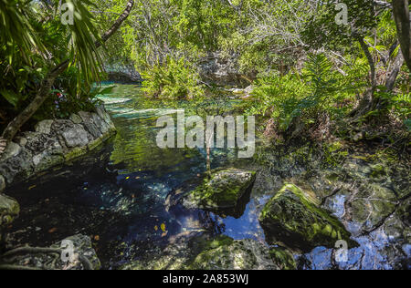 Cenote Azul in Mexiko #4 Stockfoto