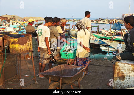 Hodeida/Jemen - 04 Jan 2013: Der Fischmarkt in Hodeida, Rotes Meer, Bab El Mande, Jemen Stockfoto