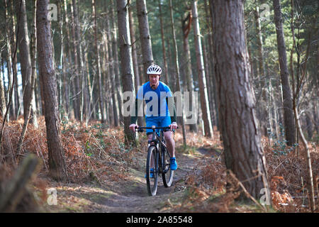 Man Mountainbiken auf Trail im Herbst Wald Stockfoto