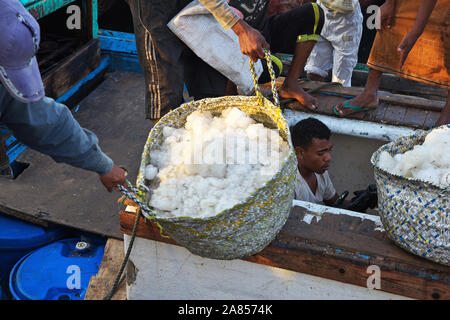 Hodeida/Jemen - 04 Jan 2013: Der Fischmarkt in Hodeida, Rotes Meer, Bab El Mande, Jemen Stockfoto