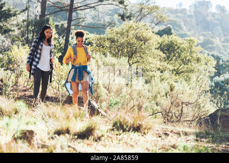 Junge Frauen, die Freunde wandern in Sunny woods Stockfoto