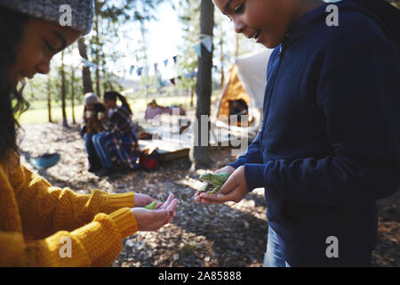 Bruder und Schwester holding Baum Frösche auf einem Campingplatz im Wald Stockfoto