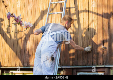 Männliche Arbeiter auf Leiter staining Wood siding auf home Exterieur Stockfoto