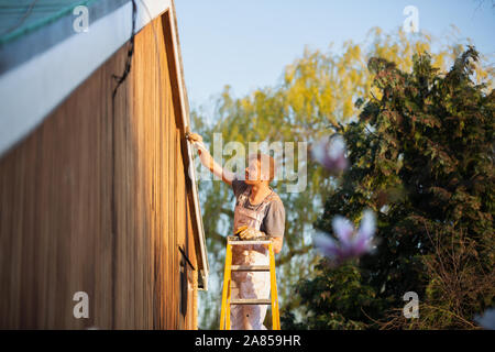 Männliche Maler auf der Leiter lackieren Home äußere Abdeckleiste Stockfoto