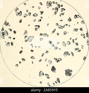 "Textur einiger wichtiger Boden Formationen" (1896) Stockfoto