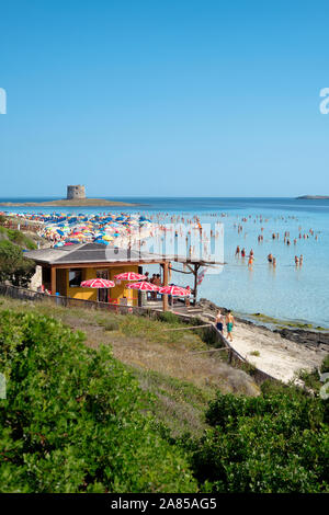 Spiaggia La Pelosa/Pelosa Strand einen feinen weißen Sandstrand mit Touristen und die Torre della Pelosa Küstenlinie in Stintino Sassari Sardinien Italien Europa Stockfoto