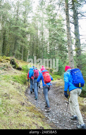 Familie joggen bis Trail in abgelegenen Wäldern Stockfoto