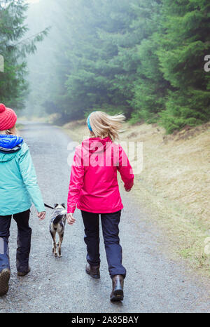 Frauen mit Hund Wandern auf Trail im regnerischen Wald Stockfoto