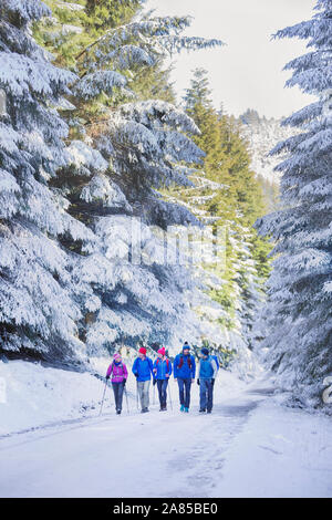 Familie Wandern auf Trail im verschneiten Wald Stockfoto