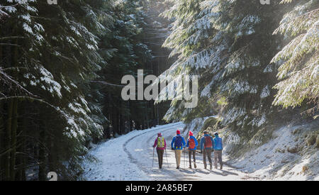 Familie mit Rucksäcke Wandern auf Trail im verschneiten, remote Woods Stockfoto