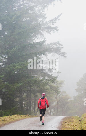 Frau joggen auf Trail im regnerischen Wald Stockfoto