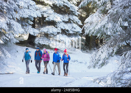 Familie Wandern auf Trail im verschneiten Wald Stockfoto