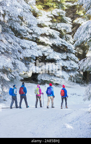 Familie Wandern auf Trail im verschneiten, remote Woods Stockfoto