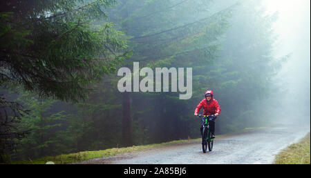 Man Mountainbiken auf Trail im regnerischen Wald Stockfoto