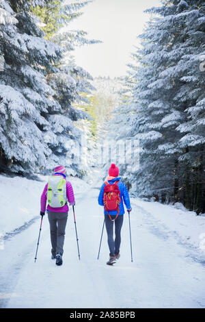 Frauen mit Wanderstöcken Wandern auf Trail im verschneiten, remote Woods Stockfoto