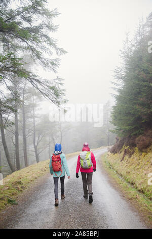 Frauen wandern auf Trail im regnerischen, remote Woods Stockfoto