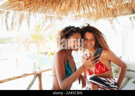 Glückliche junge Frauen Freunde mittels Smart Phone auf Sunny beach Hütte Terrasse Stockfoto
