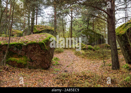 Finnische Landschaft, ein Pfad in den Wald zwischen riesigen Steine mit Moos und Flechten bedeckt. Kuusinen Insel, Kotka, Finnland Stockfoto